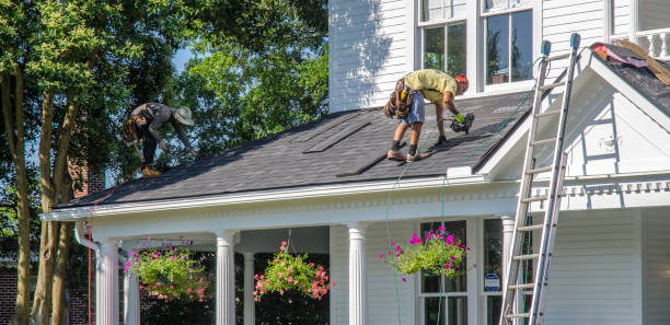 Best Local Roofing Companies  in Anza, CA